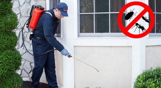 Ayancık Böcek ve Haşere İlaçlama böcek ilaçlama ve haşere kontrolü — ilaclama-tr.com